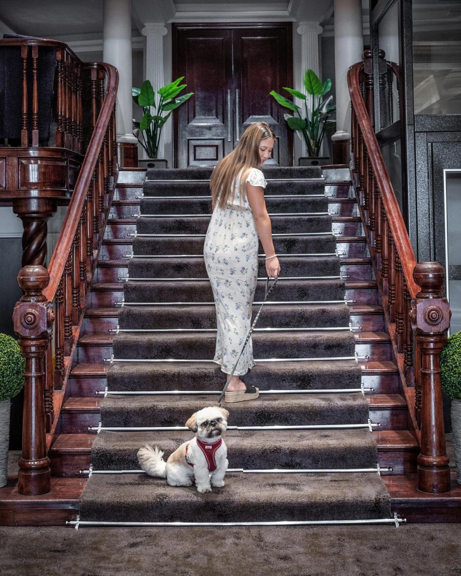 Bdl泽西大酒店&Spa 圣赫利尔泽西 外观 照片 A woman walking her dog